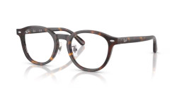 Ray-Ban RB 5443D - 2012 HAVANA