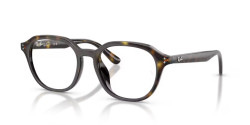 Ray-Ban RB 7259D - 2012 HAVANA