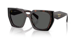 Prada PR 15WS - 24B40L ROOT/BLACK dark grey