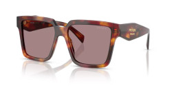 Prada PR 24ZS - 22A20I POPPY TORTOISE light purple brown