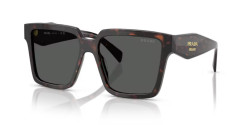 Prada PR 24ZS - 17N40L ROOT TORTOISE dark grey