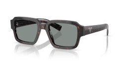 Prada PR 02ZS - 17N20N ROOT TORTOISE blue