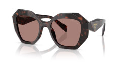 Prada PR 16WS - 17N60B ROOT TORTOISE light brown