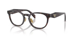 Prada PR B06VD - 17N1O1 MATT GREEN/PINK