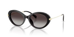 Michael Kors MK 2245U ROCKAWAY - 30058G BLACK dark grey gradient