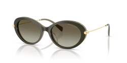 Michael Kors MK 2245U ROCKAWAY - 40193M OLIVE SMOKE olive gradient
