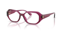 Michael Kors MK 4147U ISLAMORADA - 4020 BERRY TRANSPARENT