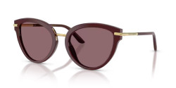 Dolce&Gabbana DG 4492 - 3091P5 BORDEAUX photo pink to dark purple