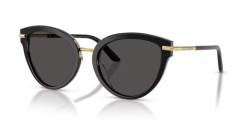 Dolce&Gabbana DG 4492 - 32998G TOP BLACK ON LEO dark grey