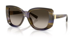 Dolce&Gabbana DG 4495 - 344713 STRIPED OLIVE brown gradient