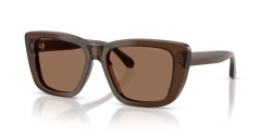 Emporio Armani EA 4246U - 625173 SHINY TRANSPARENT BROWN dark brown