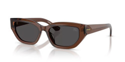 Burberry BE 4463D - 411687 BROWN dark grey