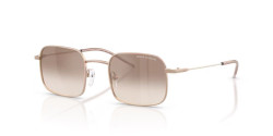 Armani Exchange AX 2055S - 610394 SHINY ROSE GOLD clear gradient brown mirror silver