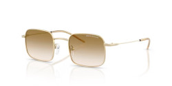 Armani Exchange AX 2055S - 611013 SHINY PALE GOLD gradient brown