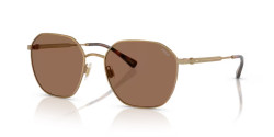 Polo Ralph Lauren PH 3160 - 944973 SEMI - SHINY ANTIQUE GOLD dark brown