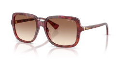Ralph RA 5333U - 623913 SHINY PURPLE HAVANA light brown gradient