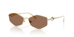 Jimmy Choo JC 4017 - 302373 GOLD dark brown