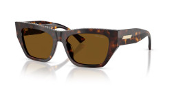 Jimmy Choo JC 5035B - 500283 HAVANA dark brown polarized