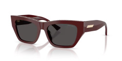 Jimmy Choo JC 5035B - 505787 CRANBERRY dark grey