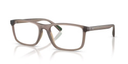 Polo Ralph Lauren PH 2291U - 6313 MATTE TRANSPARENT BROWN
