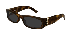 Saint Laurent SL M152 - 003 HAVANA grey