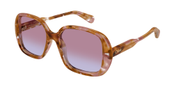 Chloe CH 0222S - 006 HAVANA red gradient