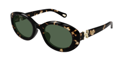 Chloe CH 0323SK - 002 HAVANA green