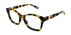 Chloe CH 0334O - 007 HAVANA