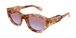Chloe CH 0220S - 013 HAVANA red gradient