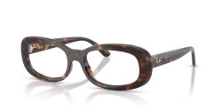 Ray-Ban RB 2221V - 2012 HAVANA
