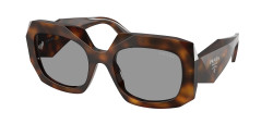 Prada PR B23S - 20D50Q JUNIPER TORTOISE grey