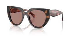 Prada PR 14WS - 23A60B MAUVE TORTOISE light brown