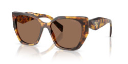 Prada PR 19ZS - 14L06B HONEY TORTOISE Dark brown