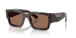 Prada PR B17S - 17N06B ROOT TORTOISE dark brown