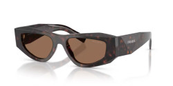 Prada PR B19S - 17N06B ROOT TORTOISE dark brown