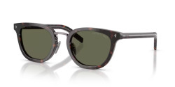 Prada PR C01SD - 17N03R ROOT HAVANA green polarized