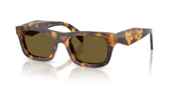Prada PR C06S - 14L09Z HONEY TORTOISE dark brown