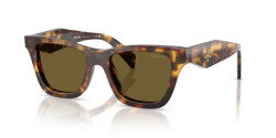 Prada PR C07S - 14L09Z HONEY TORTOISE dark brown