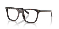 Prada PR B11V - 17N1O1 ROOT TORTOISE