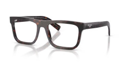 Prada PR C03V - 17N1O1 ROOT TORTOISE