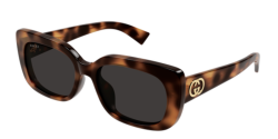 Gucci GG 1979SK - 002 HAVANA grey