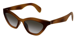 Gucci GG 1931S - 003 HAVANA grey gradient