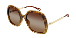 Chloe CH 0327S - 002 HAVANA/GOLD brown