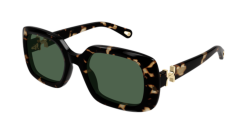 Chloe CH 0333S - 002 HAVANA green