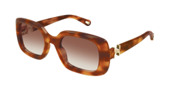 Chloe CH 0333S - 003 HAVANA brown gradient