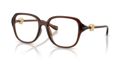 Versace VE 3386D - 5534 TRANSPARENT BROWN