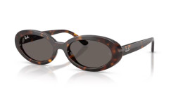 Ray-Ban RB 2223 - 902/B1 HAVANA dark grey