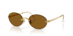 Ray-Ban RB 3929 ASAP ROCKY - 001/83 ARISTA GOLD dark brown polarized