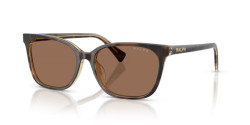 Ralph RA 5348U - 629473 TORTOISE/TRANSPARENT brown