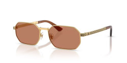 Versace VE 2297 - 100273 GOLD brown